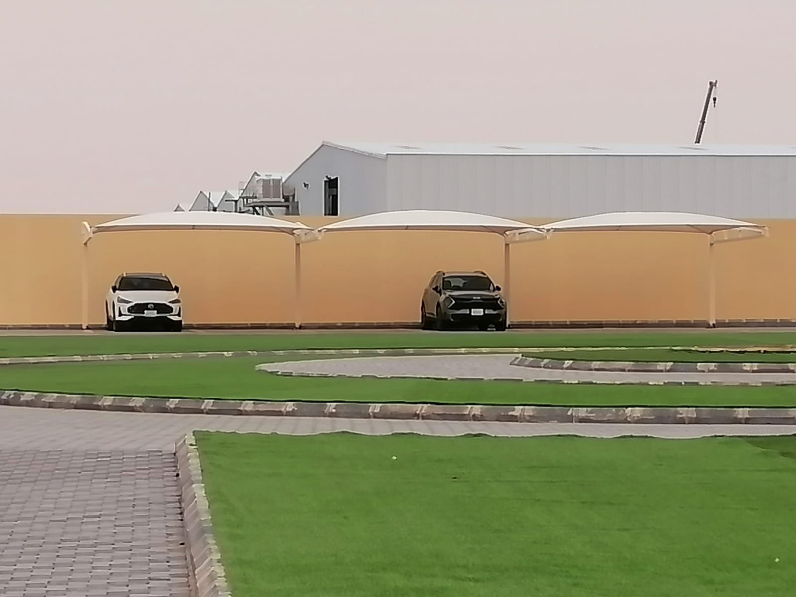 اعمال مضلات وفرش عشب